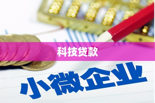 西屿科技贷款