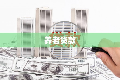 东明养老贷款