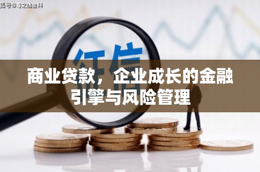 鹤庆商业贷款，企业成长的金融引擎与风险管理