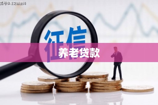 端州养老贷款