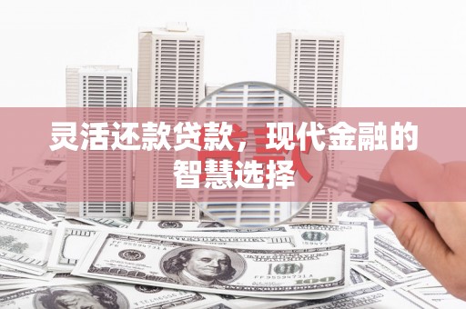 单县灵活还款贷款，现代金融的智慧选择