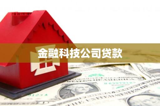 洮北金融科技公司贷款