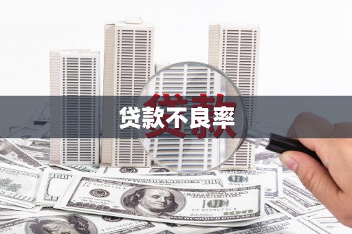 徐水贷款不良率