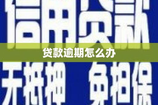 硚口贷款逾期怎么办