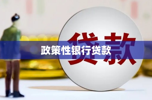 金州政策性银行贷款