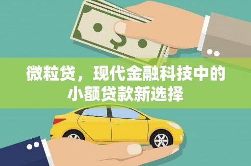 义马微粒贷，现代金融科技中的小额贷款新选择