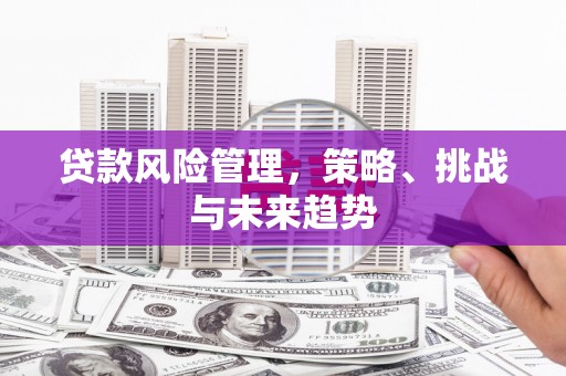 镇雄贷款风险管理，策略、挑战与未来趋势