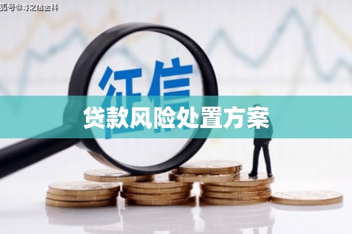 平南贷款风险处置方案