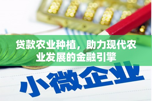 依兰贷款农业种植，助力现代农业发展的金融引擎