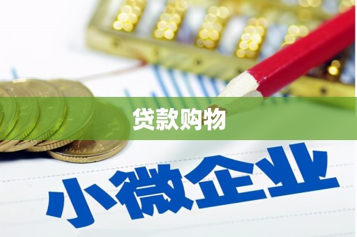 遂昌贷款购物