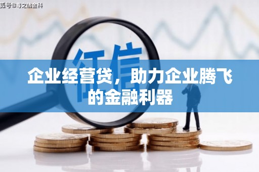 阜康企业经营贷，助力企业腾飞的金融利器