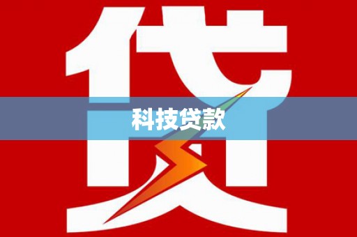 文圣科技贷款