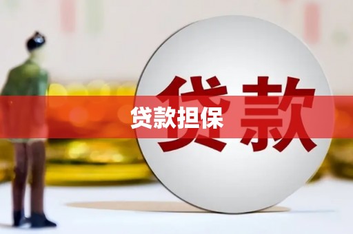 卓溪贷款担保