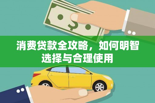 囊谦消费贷款全攻略，如何明智选择与合理使用