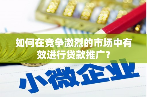 丰原如何在竞争激烈的市场中有效进行贷款推广？