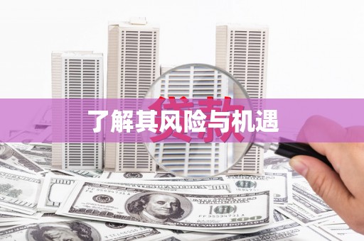 瓮安了解其风险与机遇