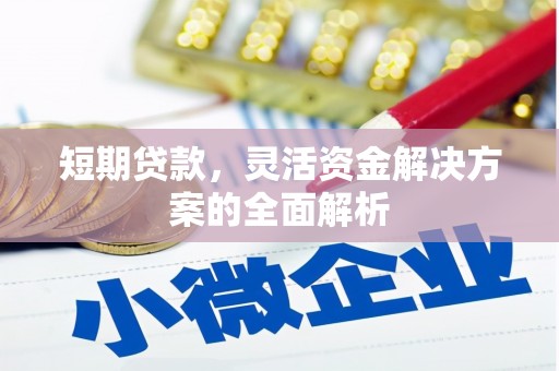 隆尧短期贷款，灵活资金解决方案的全面解析