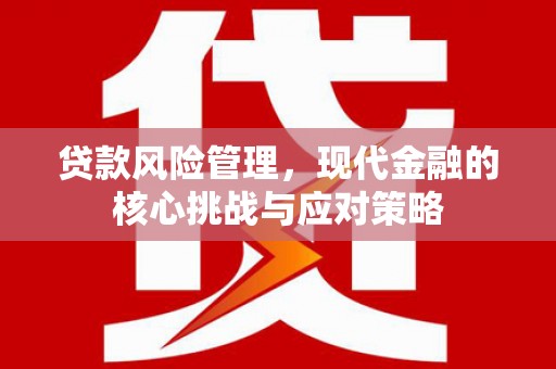 吴桥贷款风险管理，现代金融的核心挑战与应对策略