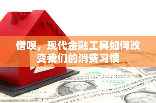 泽普借呗，现代金融工具如何改变我们的消费习惯