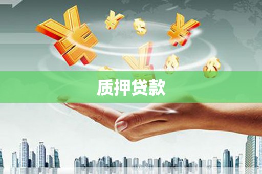 赫山质押贷款