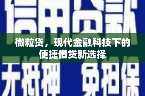 安康微粒贷，现代金融科技下的便捷借贷新选择