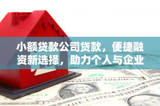 岢岚小额贷款公司贷款，便捷融资新选择，助力个人与企业成长
