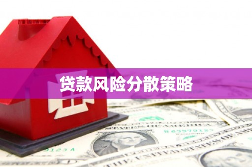 长白贷款风险分散策略