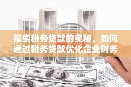 贵定探索税务贷款的奥秘，如何通过税务贷款优化企业财务