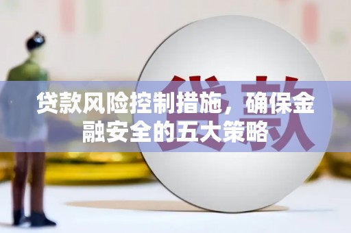 天河贷款风险控制措施，确保金融安全的五大策略