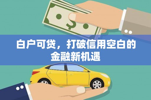 美溪白户可贷，打破信用空白的金融新机遇