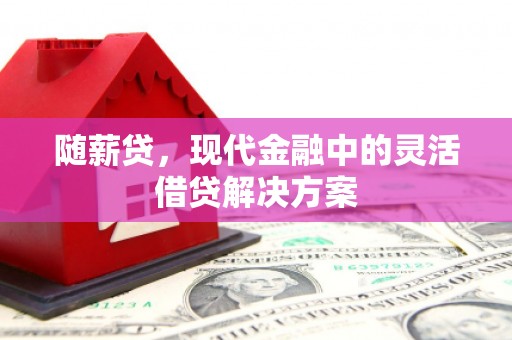 赫山随薪贷，现代金融中的灵活借贷解决方案