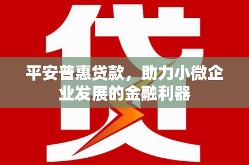 丰城平安普惠贷款，助力小微企业发展的金融利器