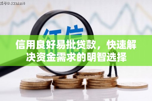夏邑信用良好易批贷款，快速解决资金需求的明智选择