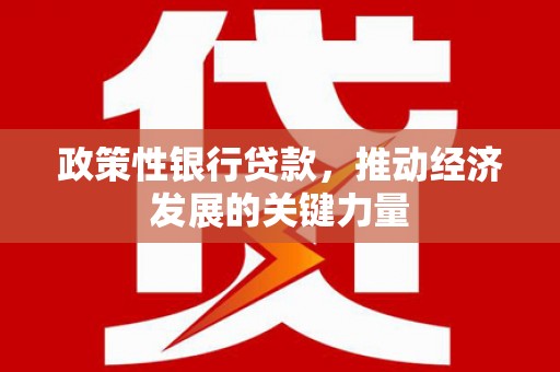北市政策性银行贷款，推动经济发展的关键力量