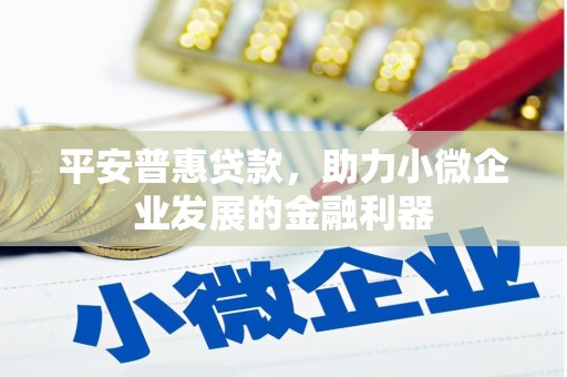广德平安普惠贷款，助力小微企业发展的金融利器