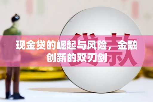 苍南现金贷的崛起与风险，金融创新的双刃剑