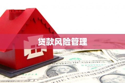 兴安贷款风险管理