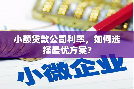 庐江小额贷款公司利率，如何选择最优方案？
