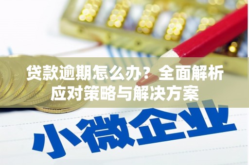 清流贷款逾期怎么办？全面解析应对策略与解决方案