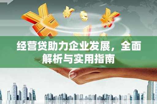 台湾经营贷助力企业发展，全面解析与实用指南