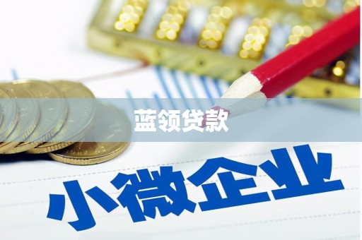 白河蓝领贷款