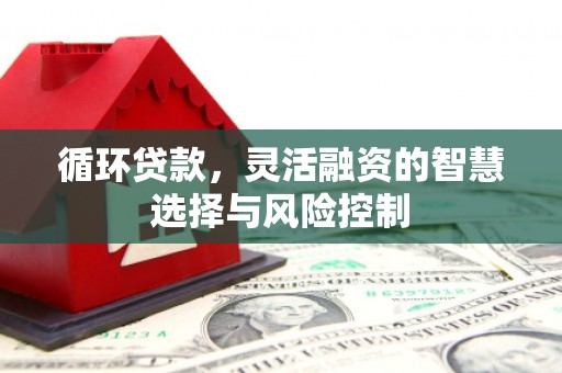 西螺循环贷款，灵活融资的智慧选择与风险控制