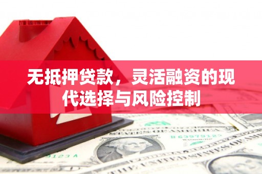 宝塔无抵押贷款，灵活融资的现代选择与风险控制