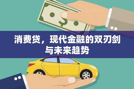 凤林消费贷，现代金融的双刃剑与未来趋势