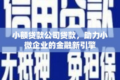 新竹小额贷款公司贷款，助力小微企业的金融新引擎