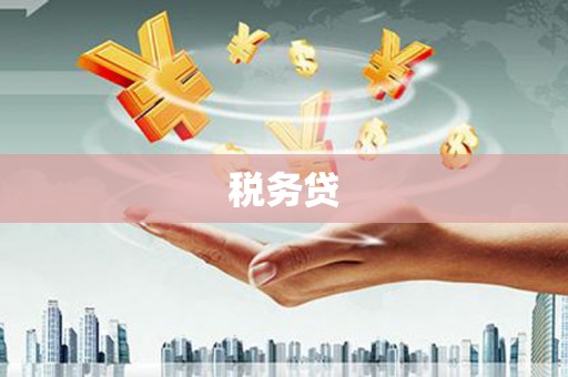 温江税务贷
