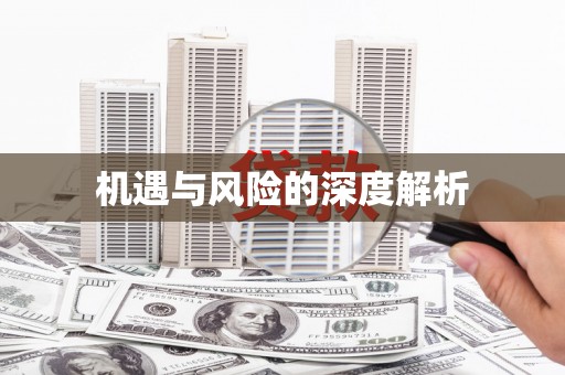 沈北新区机遇与风险的深度解析