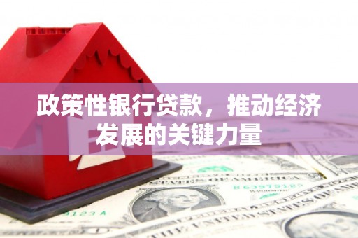 荆门政策性银行贷款，推动经济发展的关键力量