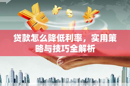 玉树贷款怎么降低利率，实用策略与技巧全解析