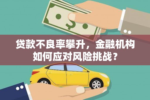 兴安贷款不良率攀升，金融机构如何应对风险挑战？